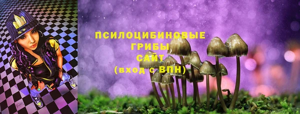 гидропоника Нягань