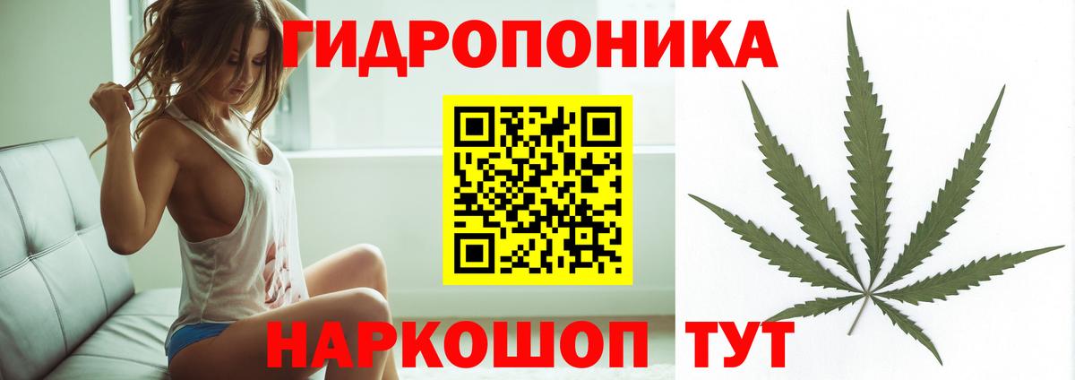 Каннабис ГИДРОПОН Кириши